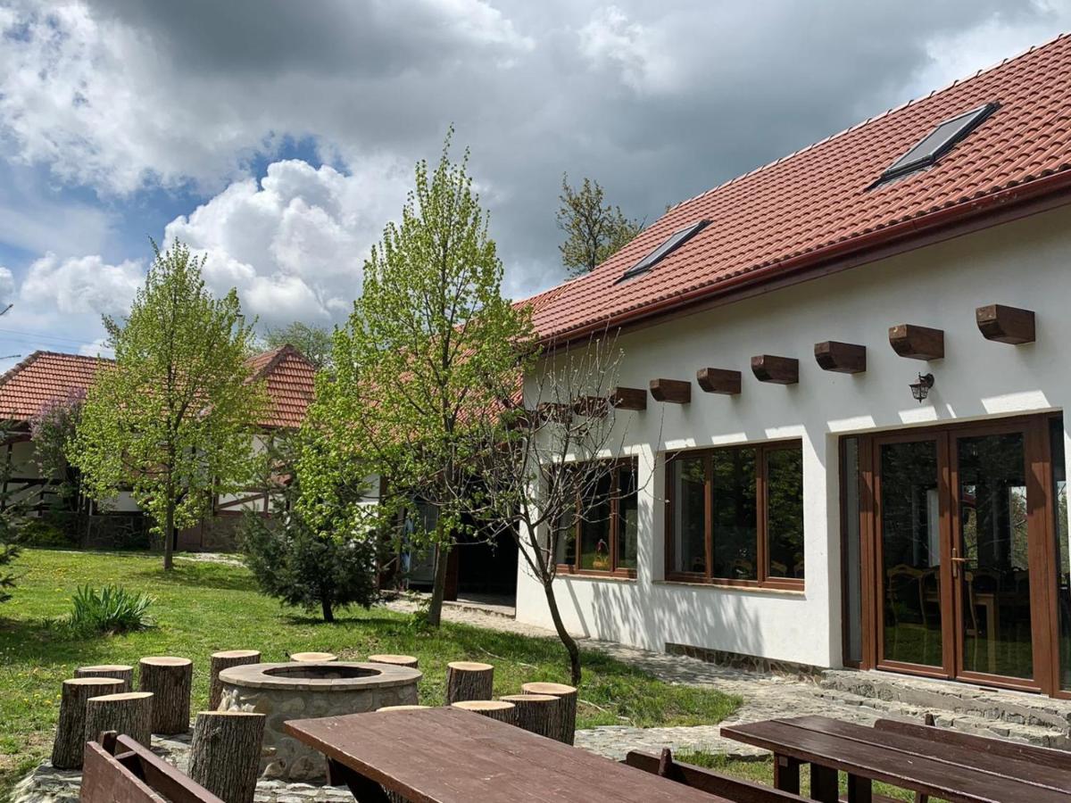 Villa Casa Vatra Sinteului - Cu Sala De Evenimente De Capacitate Mare - Se Inchiriaza Integral Socet Exterior foto