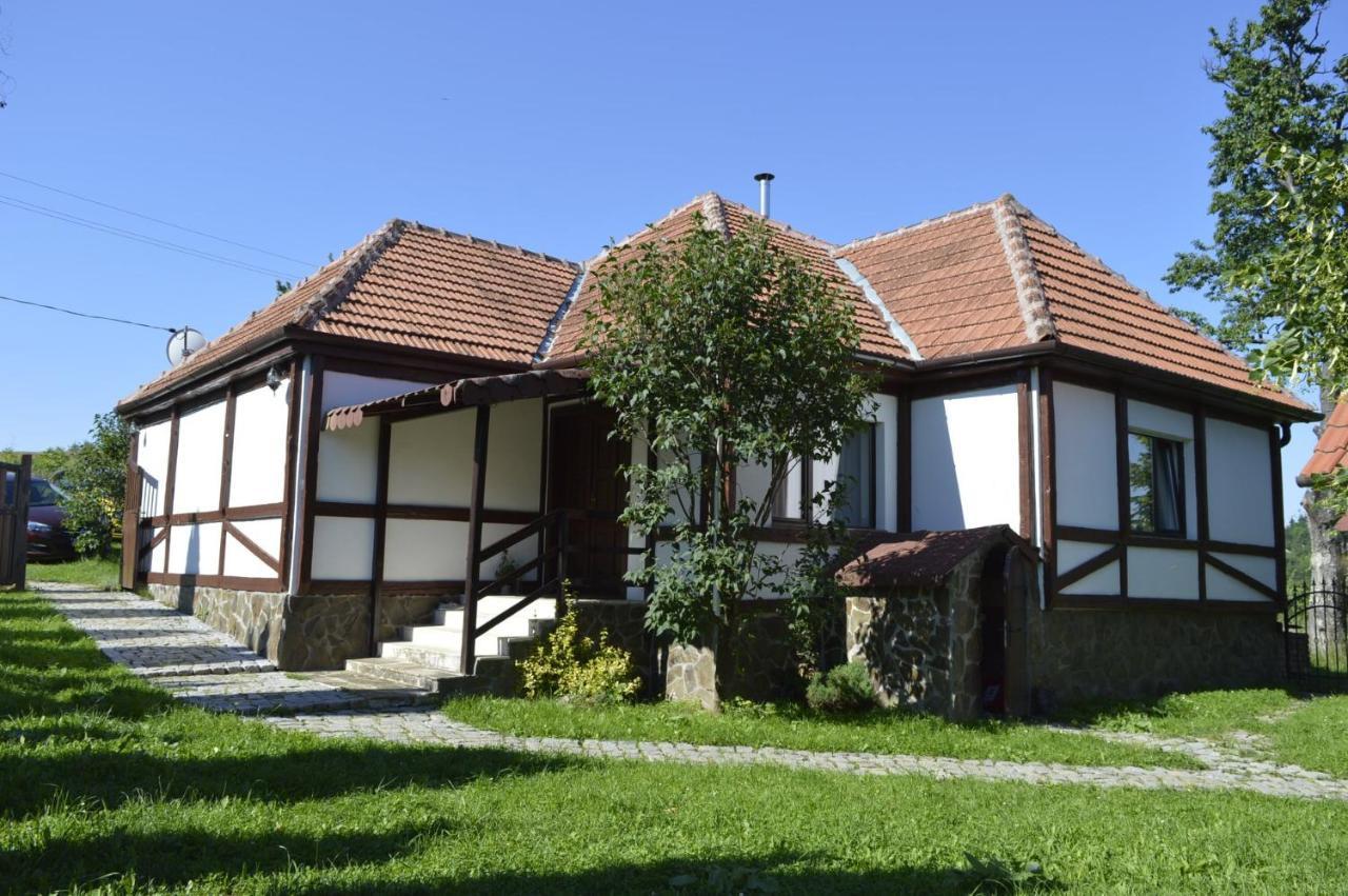 Villa Casa Vatra Sinteului - Cu Sala De Evenimente De Capacitate Mare - Se Inchiriaza Integral Socet Exterior foto