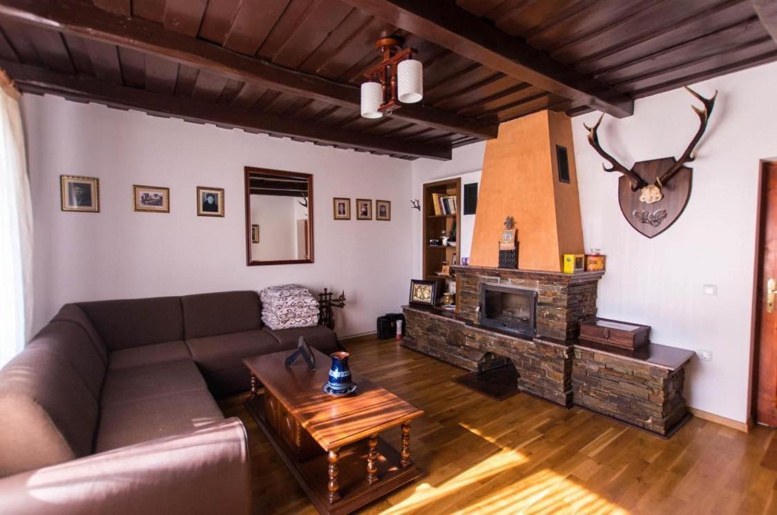 Villa Casa Vatra Sinteului - Cu Sala De Evenimente De Capacitate Mare - Se Inchiriaza Integral Socet Exterior foto