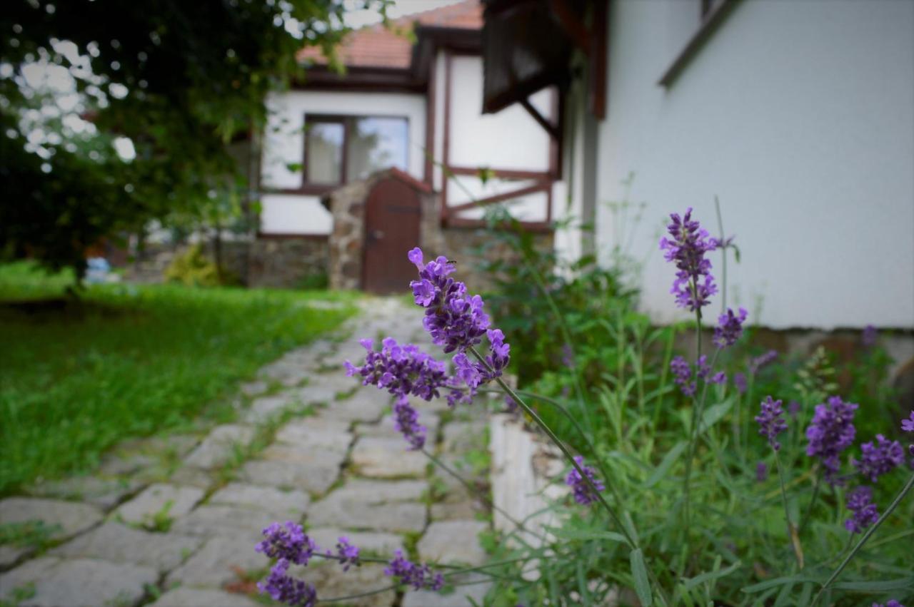 Villa Casa Vatra Sinteului - Cu Sala De Evenimente De Capacitate Mare - Se Inchiriaza Integral Socet Exterior foto
