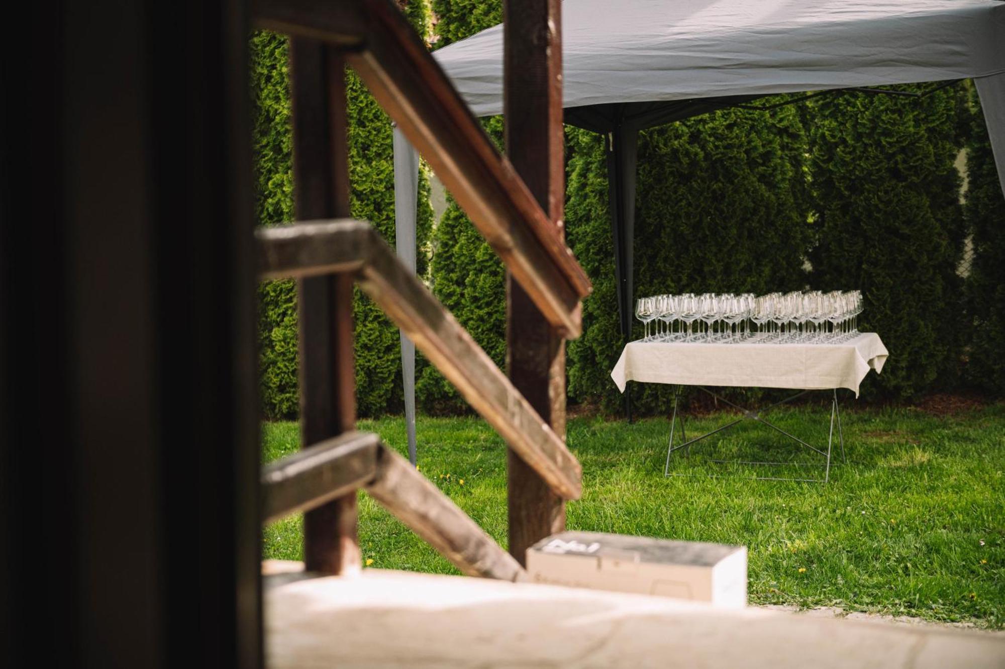 Villa Casa Vatra Sinteului - Cu Sala De Evenimente De Capacitate Mare - Se Inchiriaza Integral Socet Exterior foto